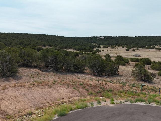 Land for sale in Placitas, New Mexico