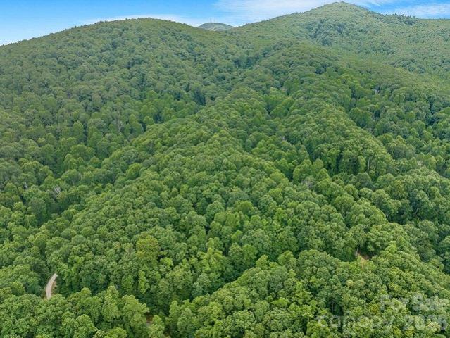 Land for sale in Black Mountain, North Carolina