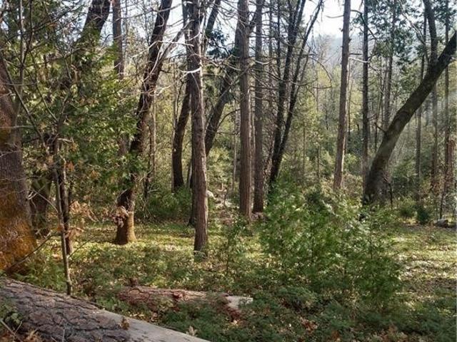 Land for sale in North Fork, California