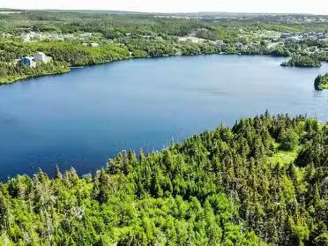 House for sale in Bauline, Newfoundland And Labrador