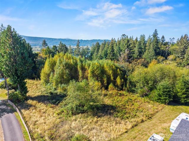 Land for sale in East Cathlamet, Cathlamet