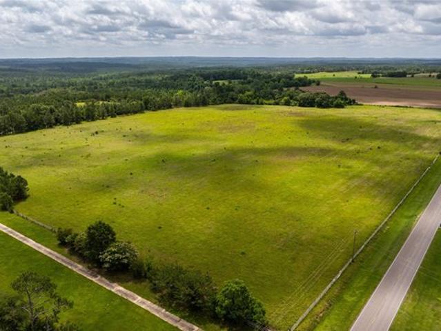 Land for sale in Pine Level, Alabama