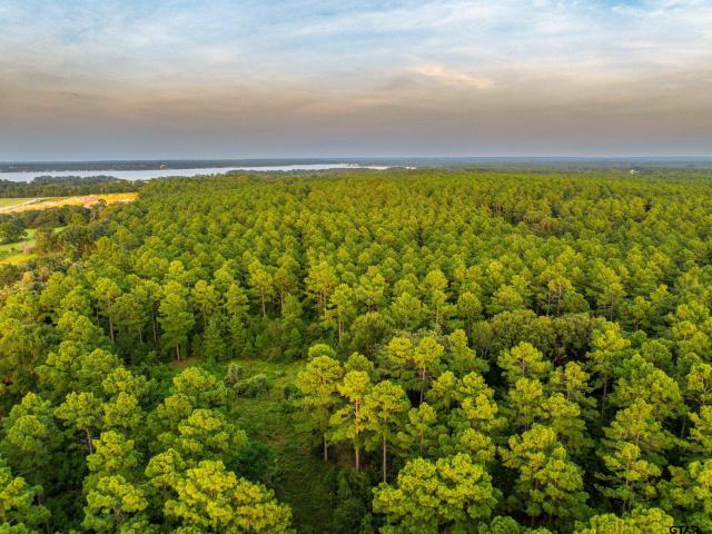 Property for sale in Frankston, Texas