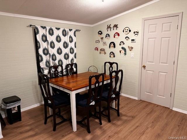 House for sale in Fallsburg, New York