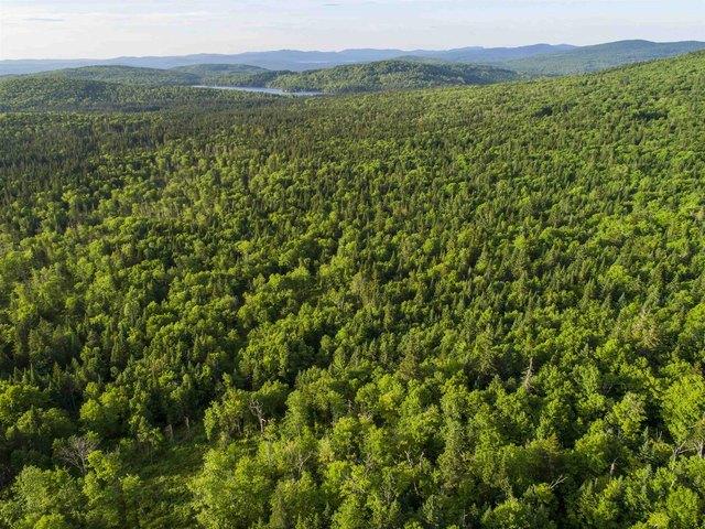 Land for sale in New Hampshire