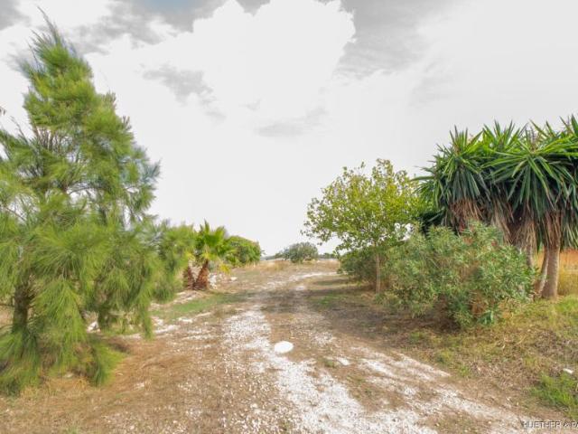 Casa en venta en Pla de Mallorca, Baleares