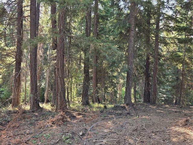 Land for sale in Ronald, Washington
