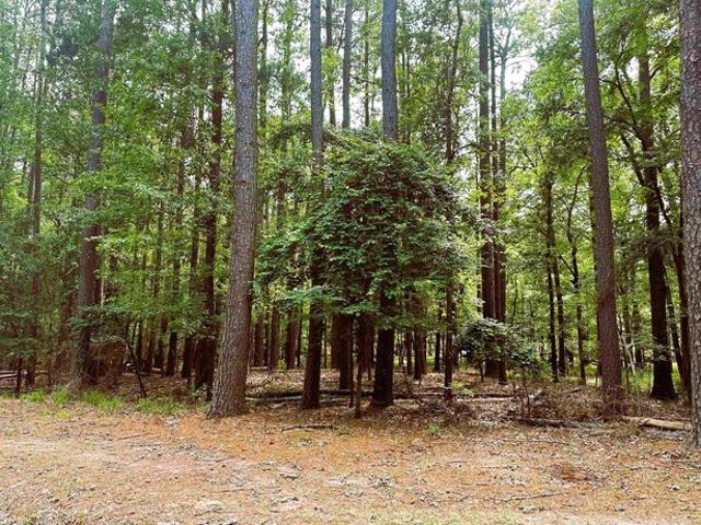 Land for sale in Franklin, Texas