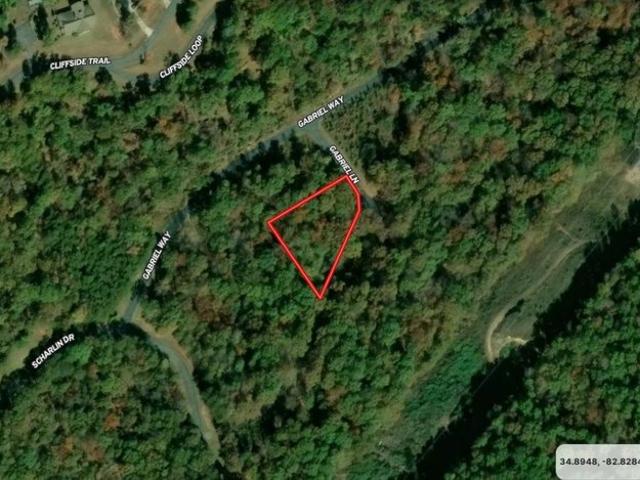 Land for sale in Pickens, Pickens County