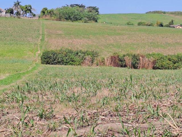 Farm for sale in Princess Grant, Kwazulu-natal