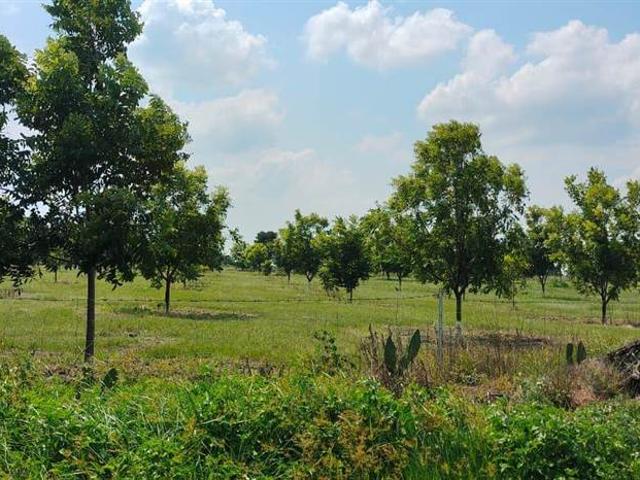 Farm for sale in Waterkloof, Gauteng