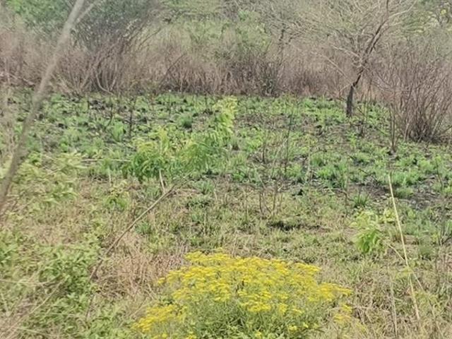 Land for sale in Umgungundlovu, Kwazulu-natal