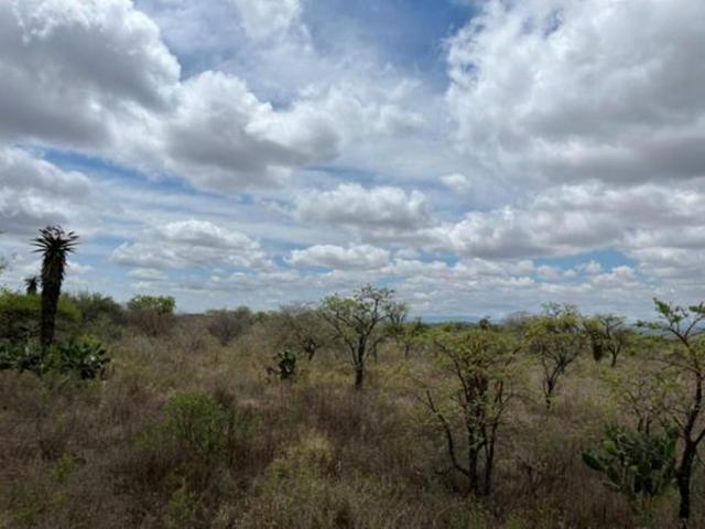 Land for sale in Polokwane, Polokwane Local Municipality