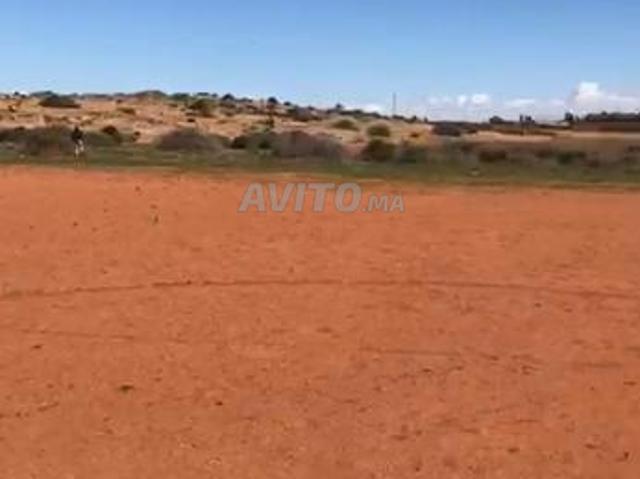 Propriété vente à Berkane