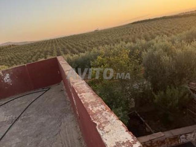 Propriété vente à Meknès
