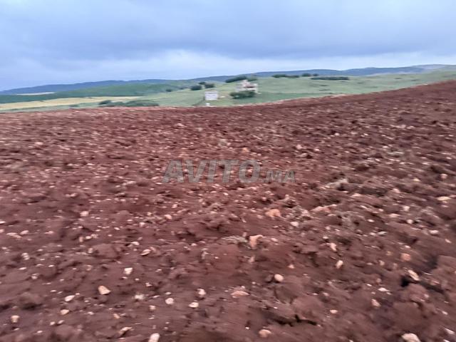 Propriété vente à Meknès