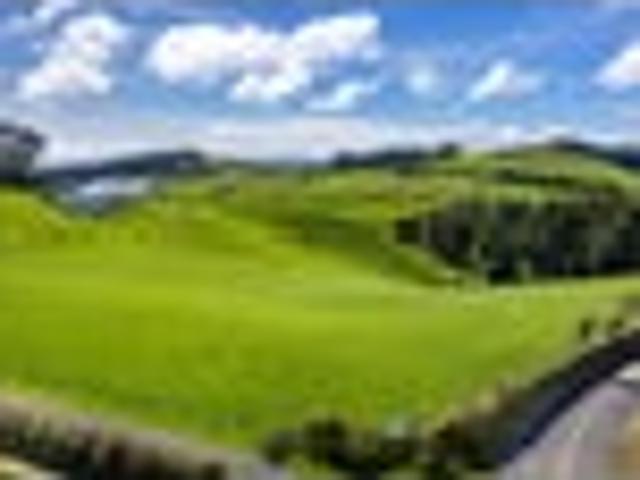 Land for sale in Waikato