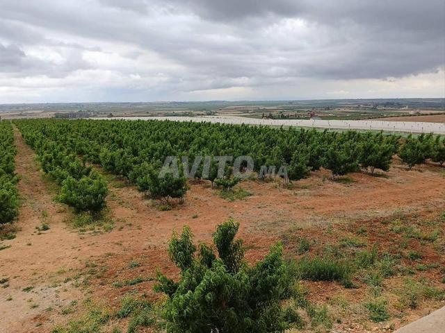 Propriété vente à Meknès