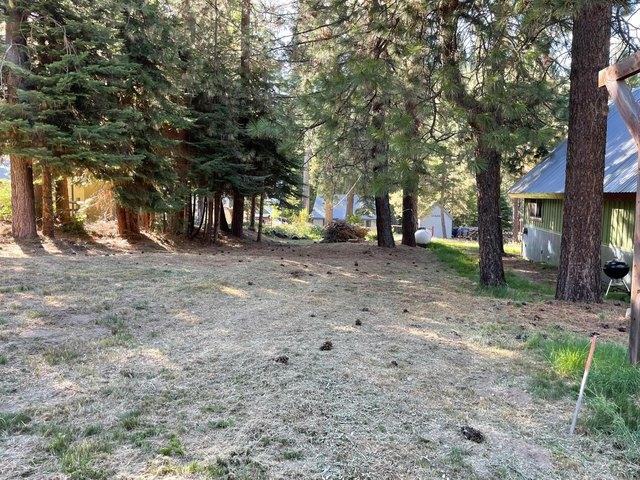 Land for sale in Fish Camp, California