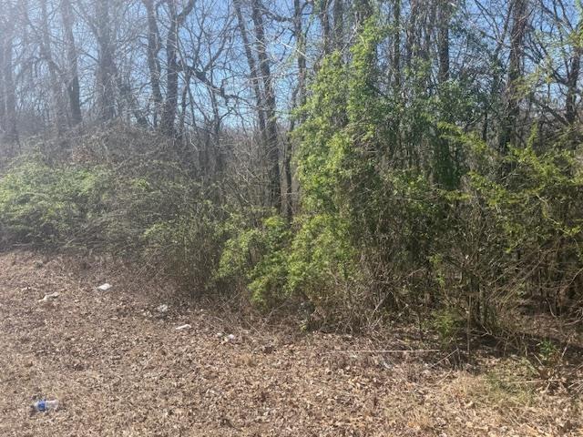 Land for sale in Tennessee