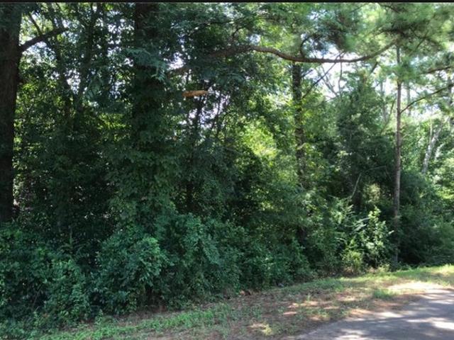 Land for sale in Dougherty, Georgia