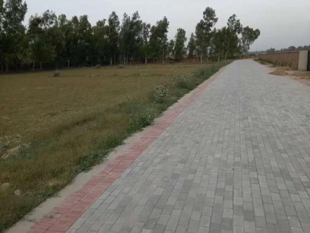 Land for sale in روڑا, لاہور ڈویژن