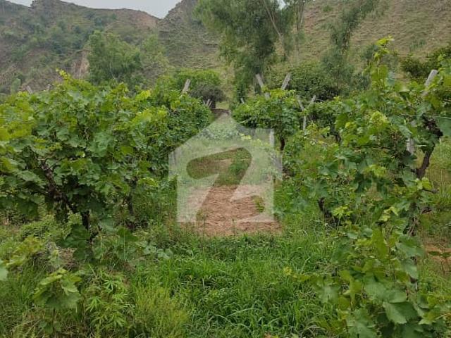 Property for sale in Rawalpindi, Islamabad Capital Territory