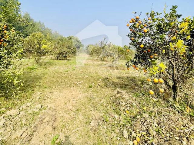 Property for sale in لاہور, لاہور ڈویژن