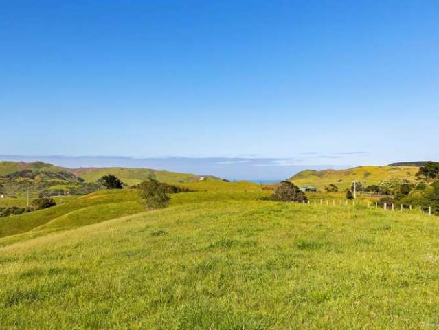 Property for sale in Waiuku