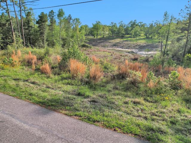 Land for sale in Riverside, Walker County