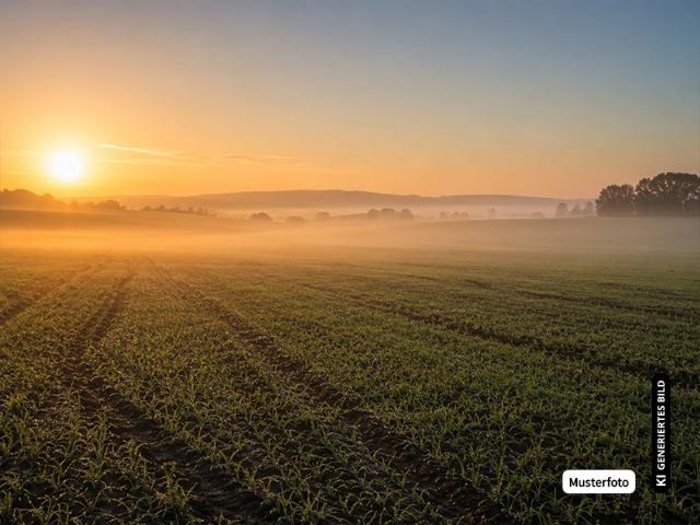 Landwirtschaft kaufen in Alte Gasse, Achern