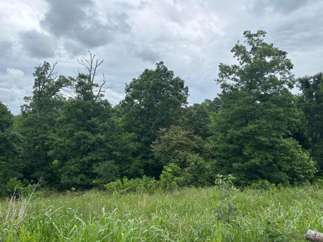 Land for sale in Seligman, Missouri