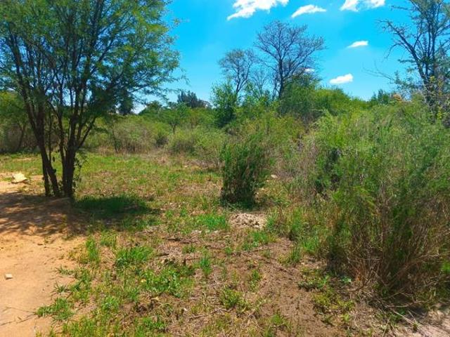 Land for sale in Koppies, Free State