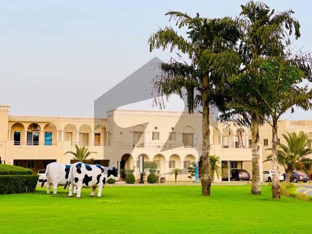 Property for sale in Rawalpindi, Islamabad Capital Territory