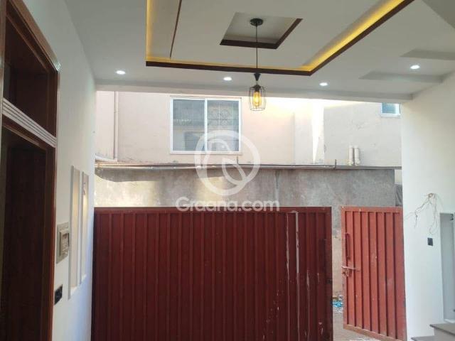 House for rent