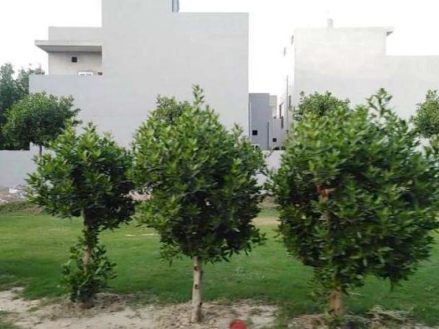Land for sale in Bagrian Dharam Chand, لاہور ڈویژن