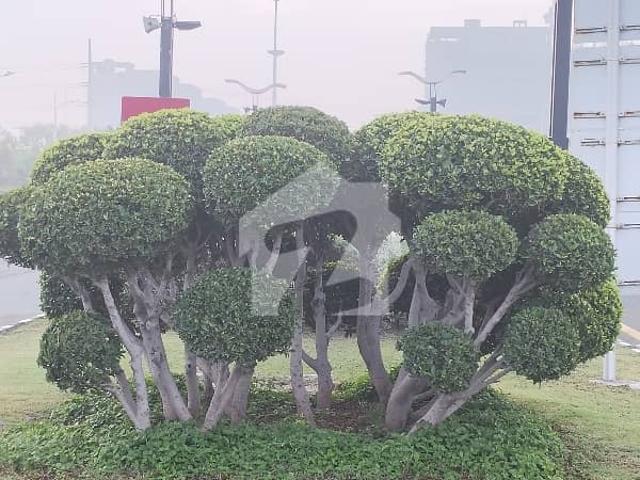 Property for sale in Rawalpindi, Islamabad Capital Territory