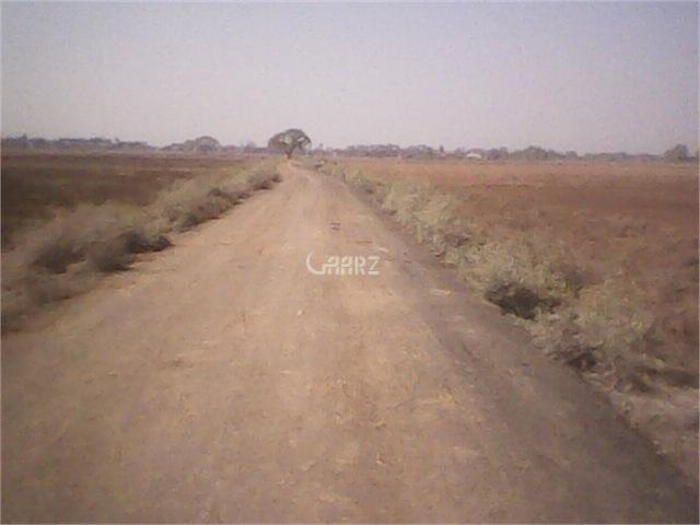 Land for sale in Faisalabad Land for sale in Faisalabad
