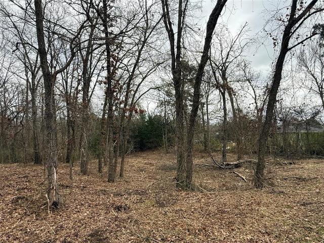 Land for sale in Grand Saline, Texas