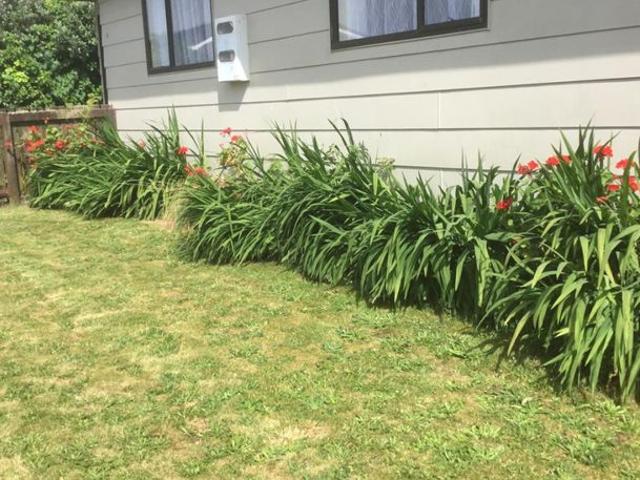 House for rent in Matamata, Matamata Piako District