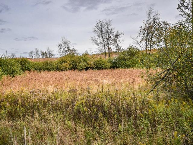 Property for sale in Laona, Wisconsin