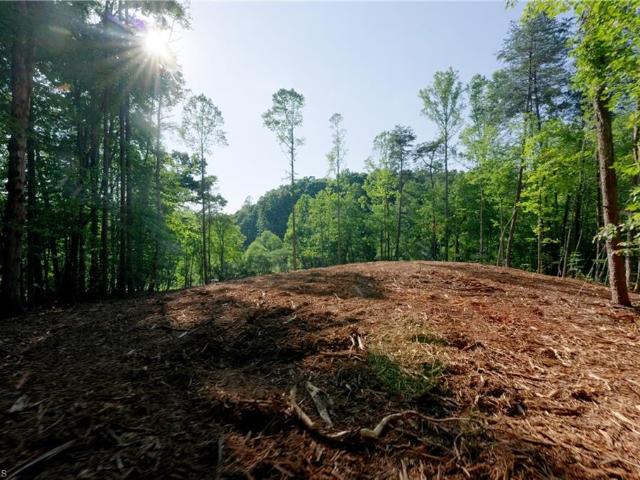 Land for sale in Flat Rock, Stokes County