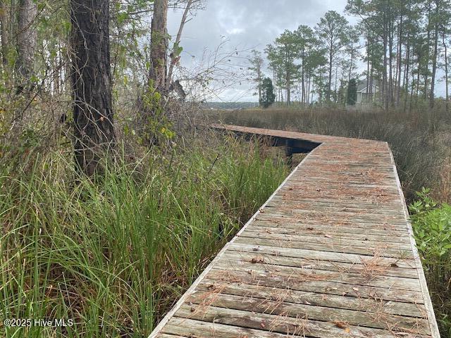 Land for sale in Bath, North Carolina