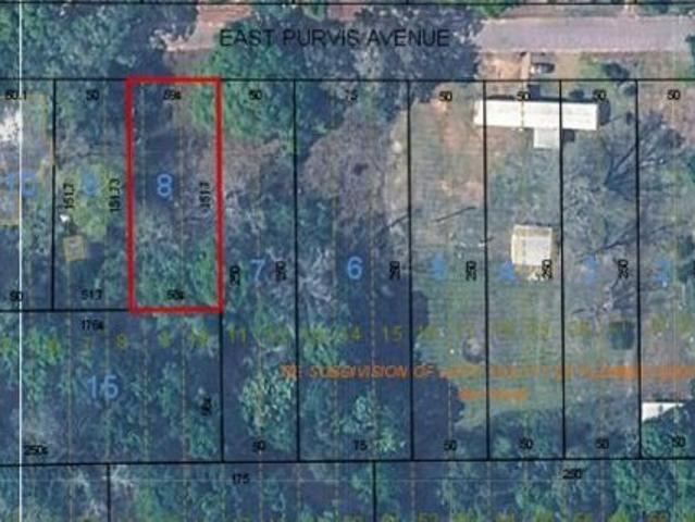 Land for sale in Geneva, Alabama
