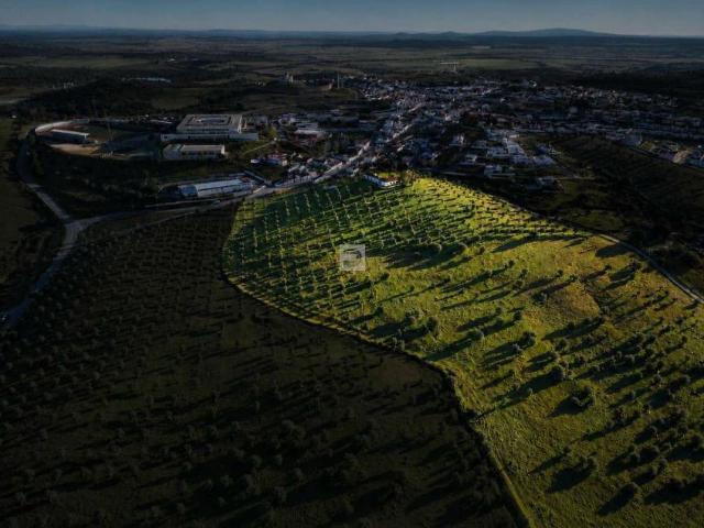 Terreno venda em Arraiolos, Évora