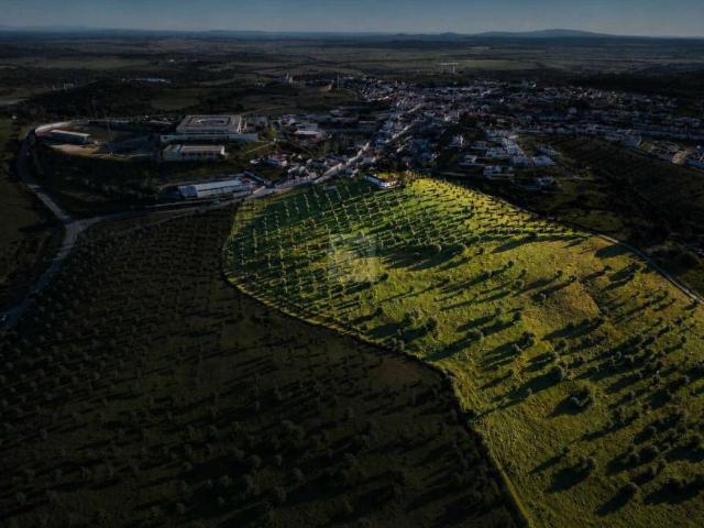 Terreno venda em Arraiolos, Évora