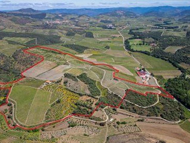 Loja venda em Guarda, Mós