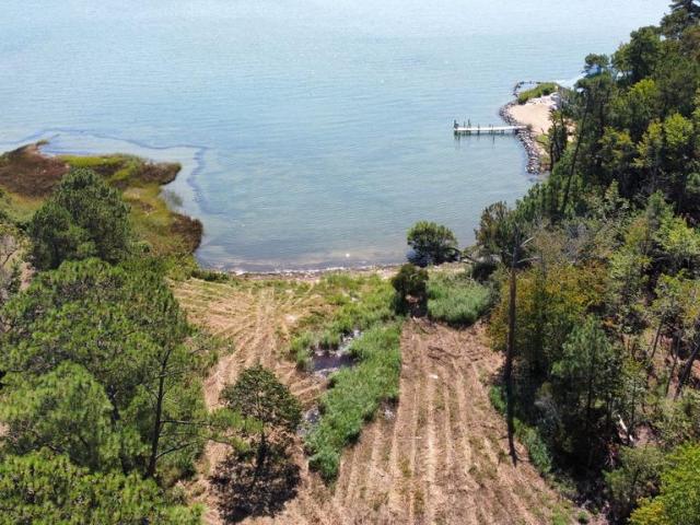 Land for sale in Palmer, White Stone