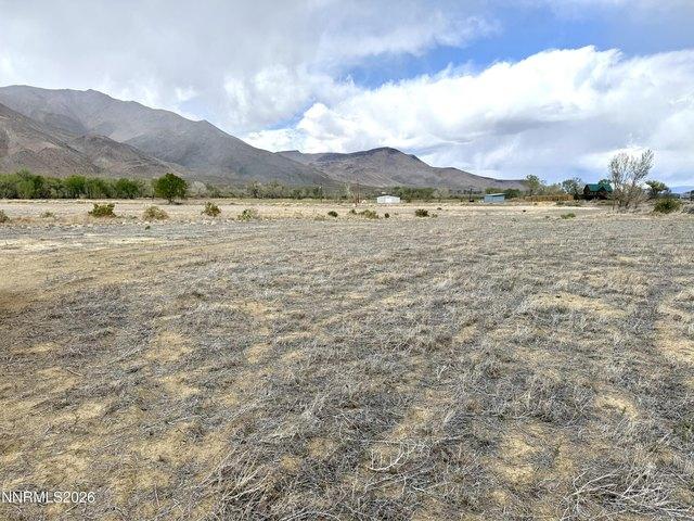 Land for sale in Yerington, Nevada