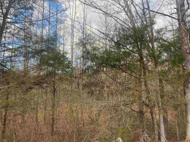 Land for sale in Tennessee